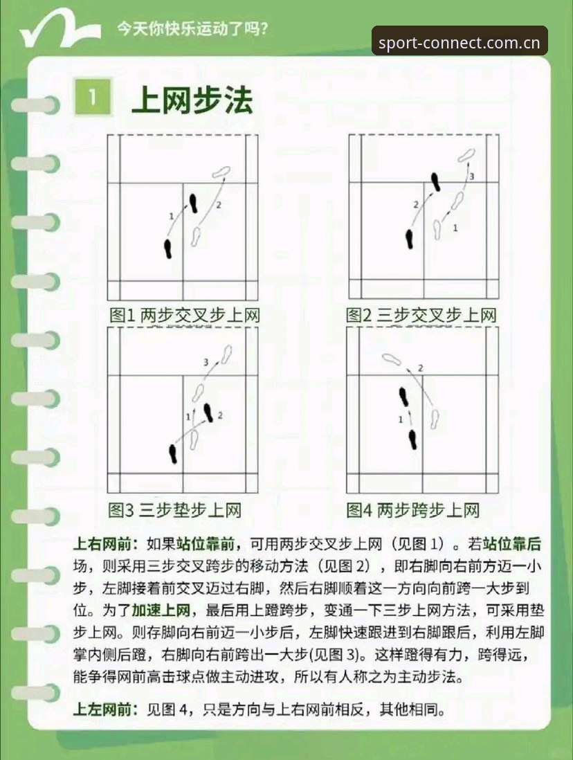 杨鸣拆解C罗心理压力信号，完美体育连接赛事信息操作教程